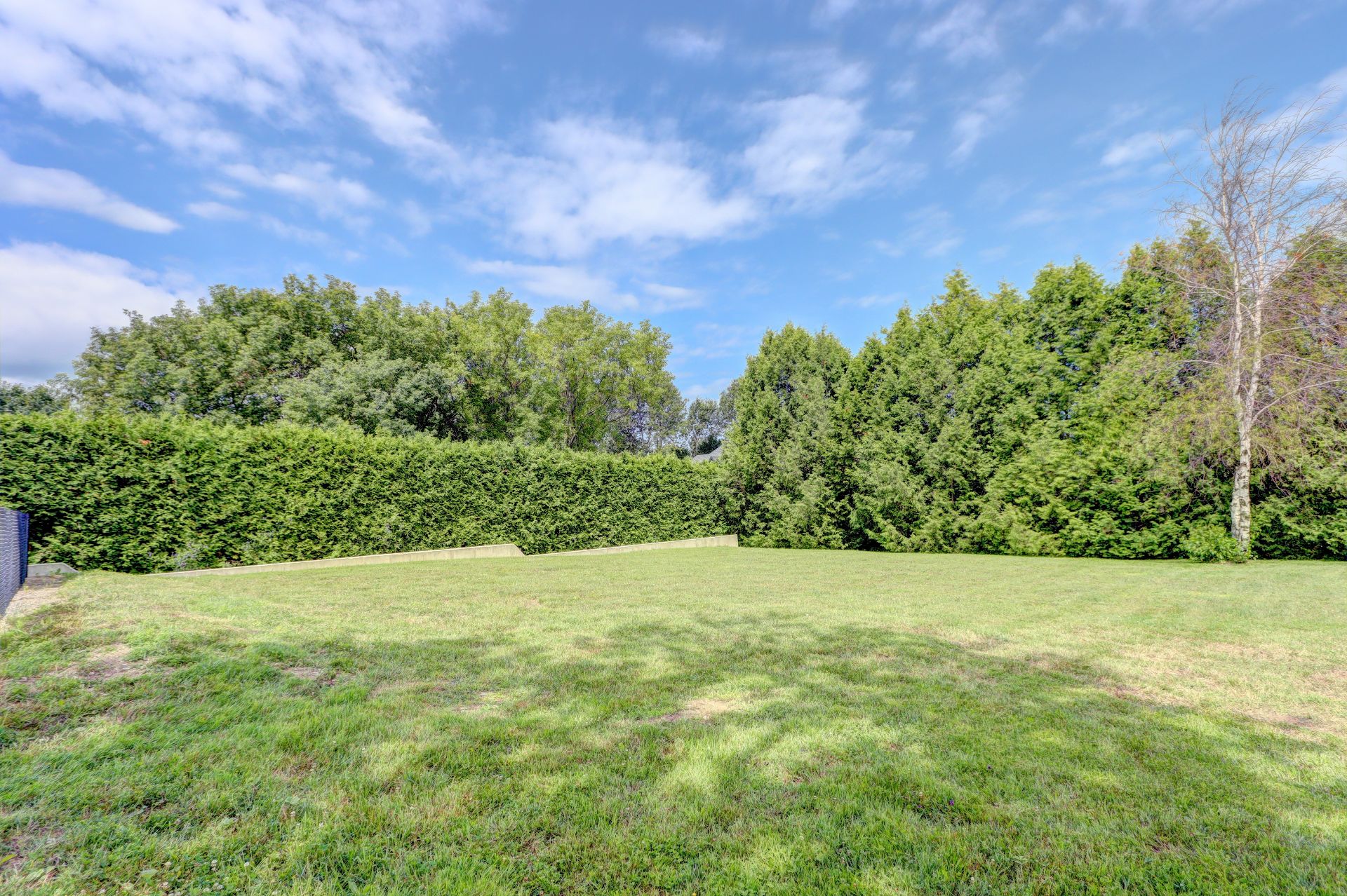 MLS: 15884746