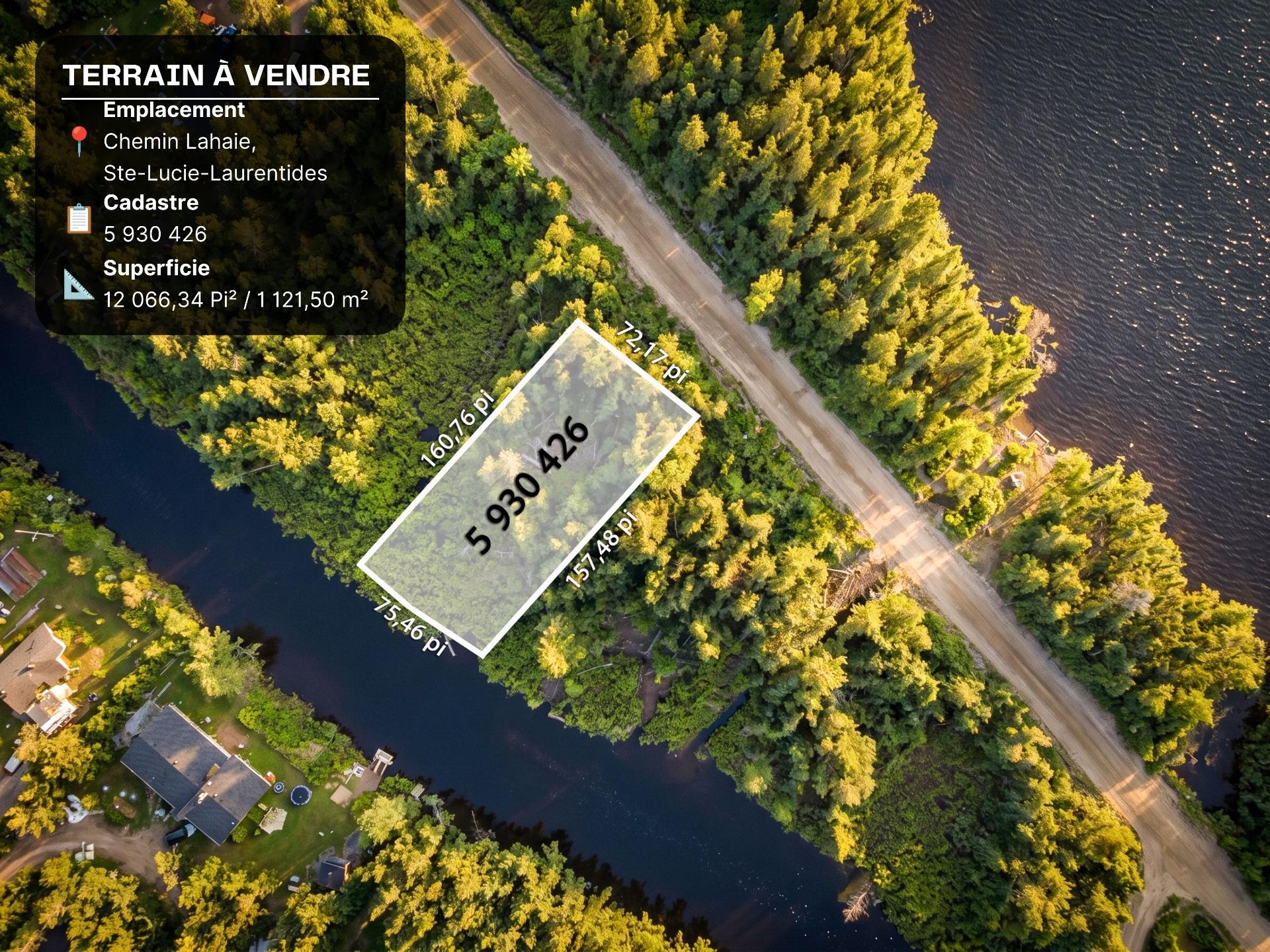 MLS: 11589041