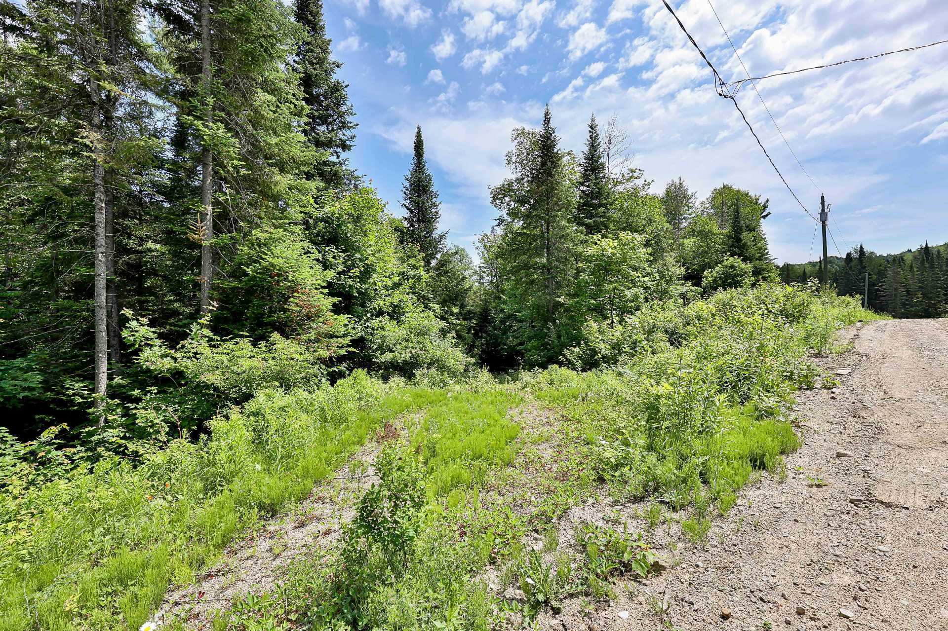 MLS: 20970294