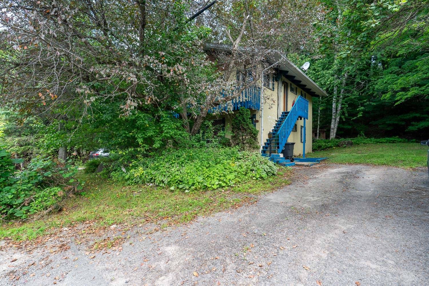 MLS: 11209501
