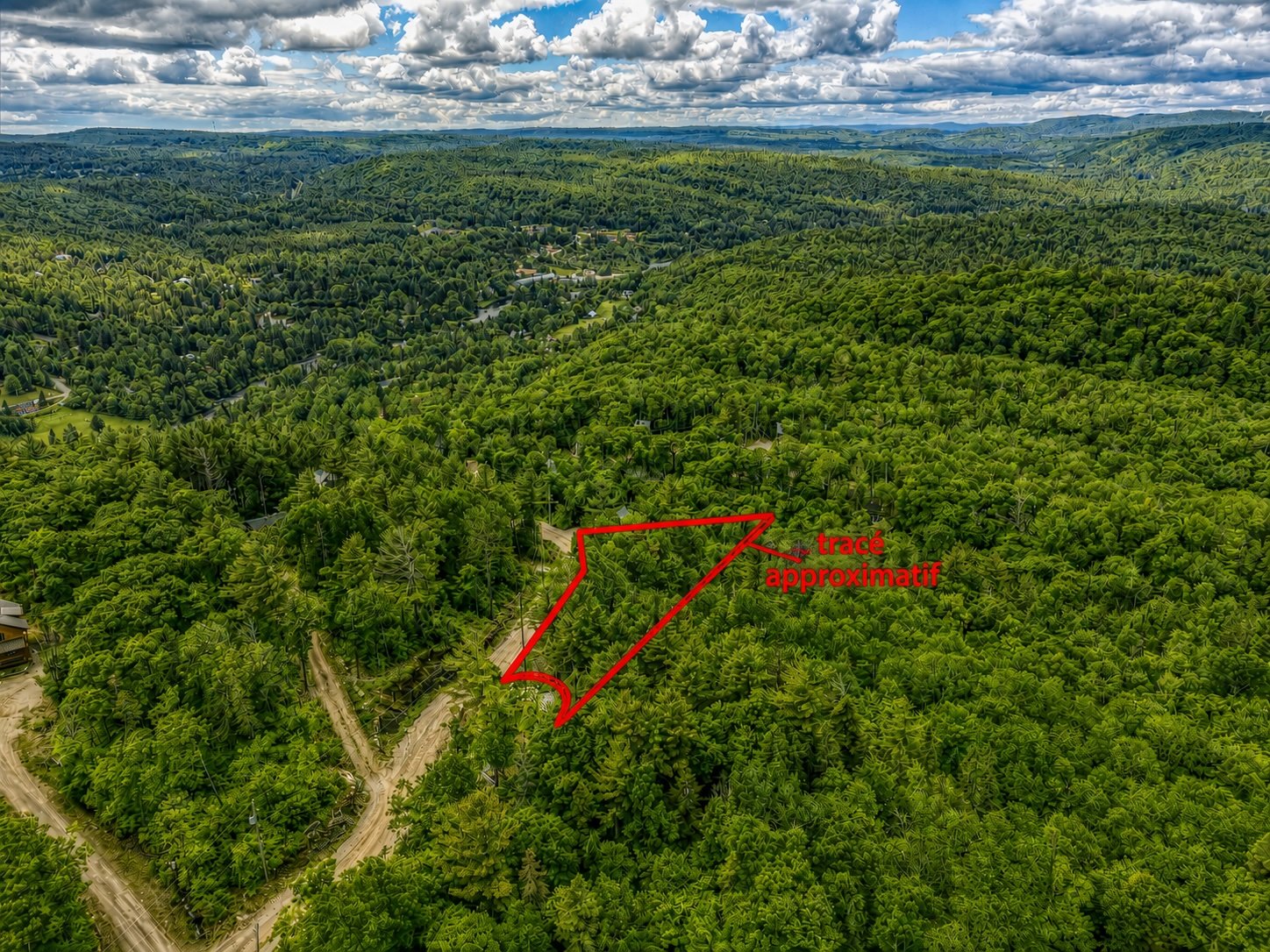 MLS: 25229031