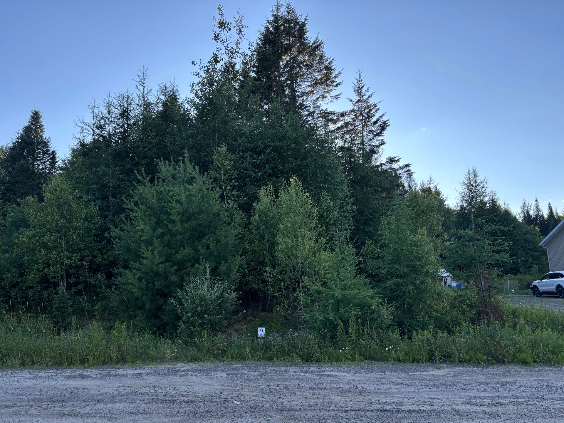 MLS: 9590166