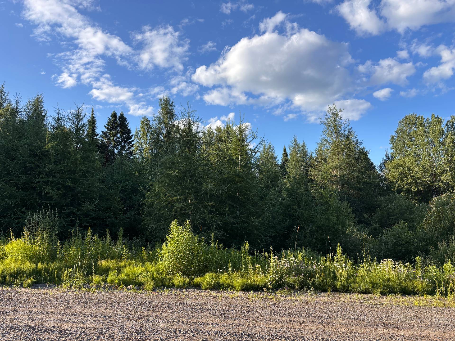 MLS: 16760734