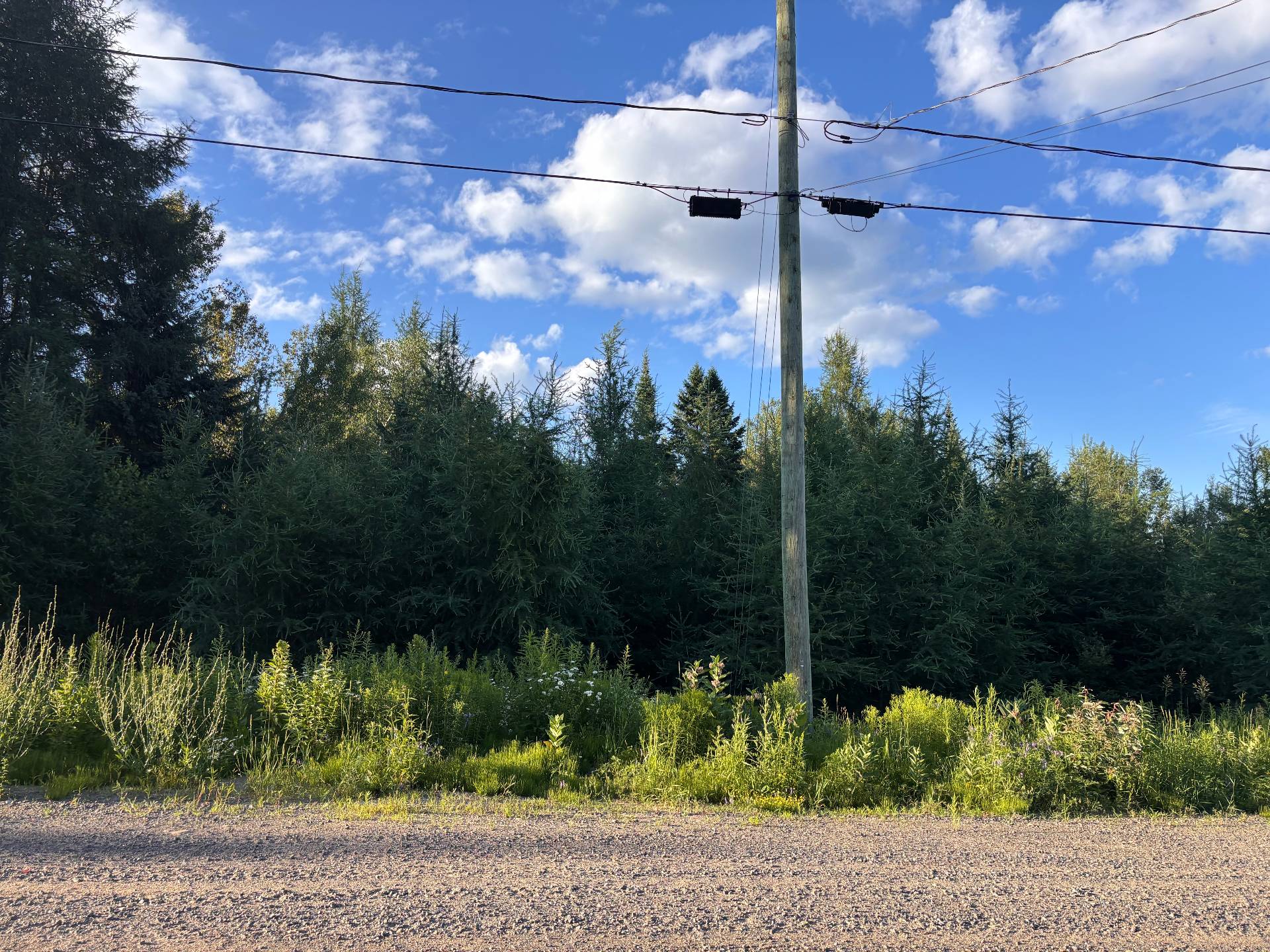 MLS: 16859127
