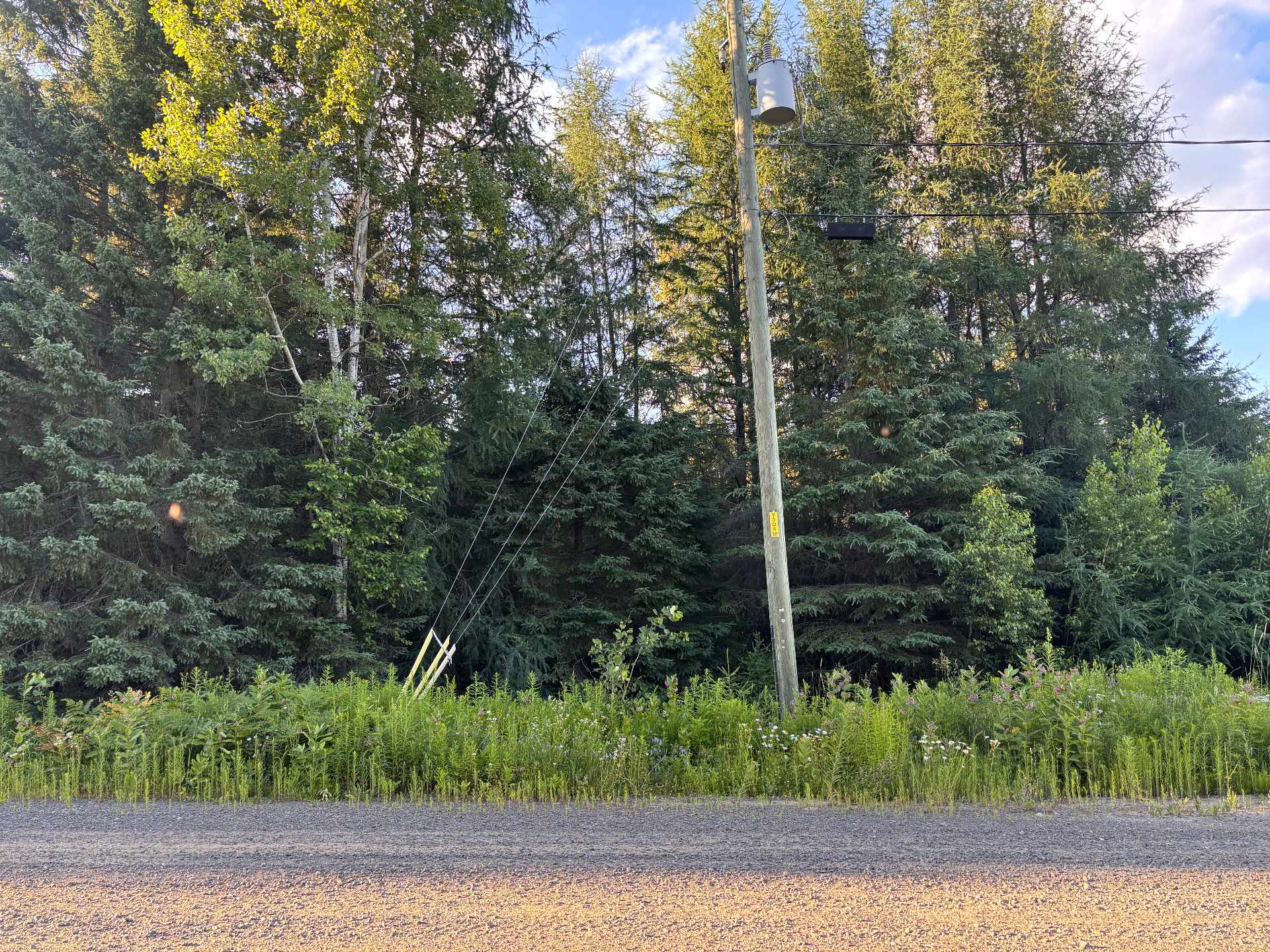MLS: 13462542
