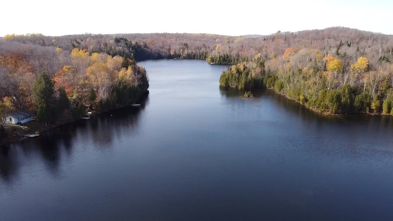 MLS: 14523609