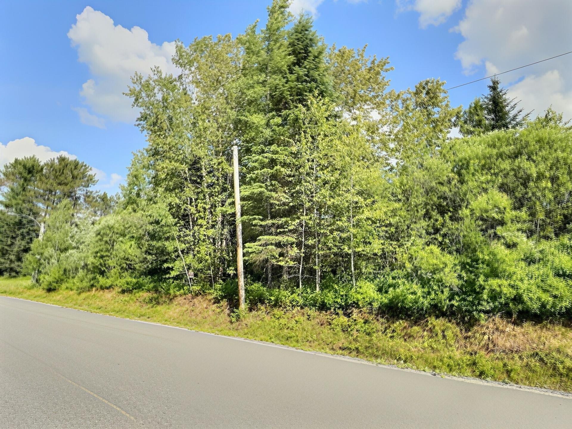 MLS: 13064238