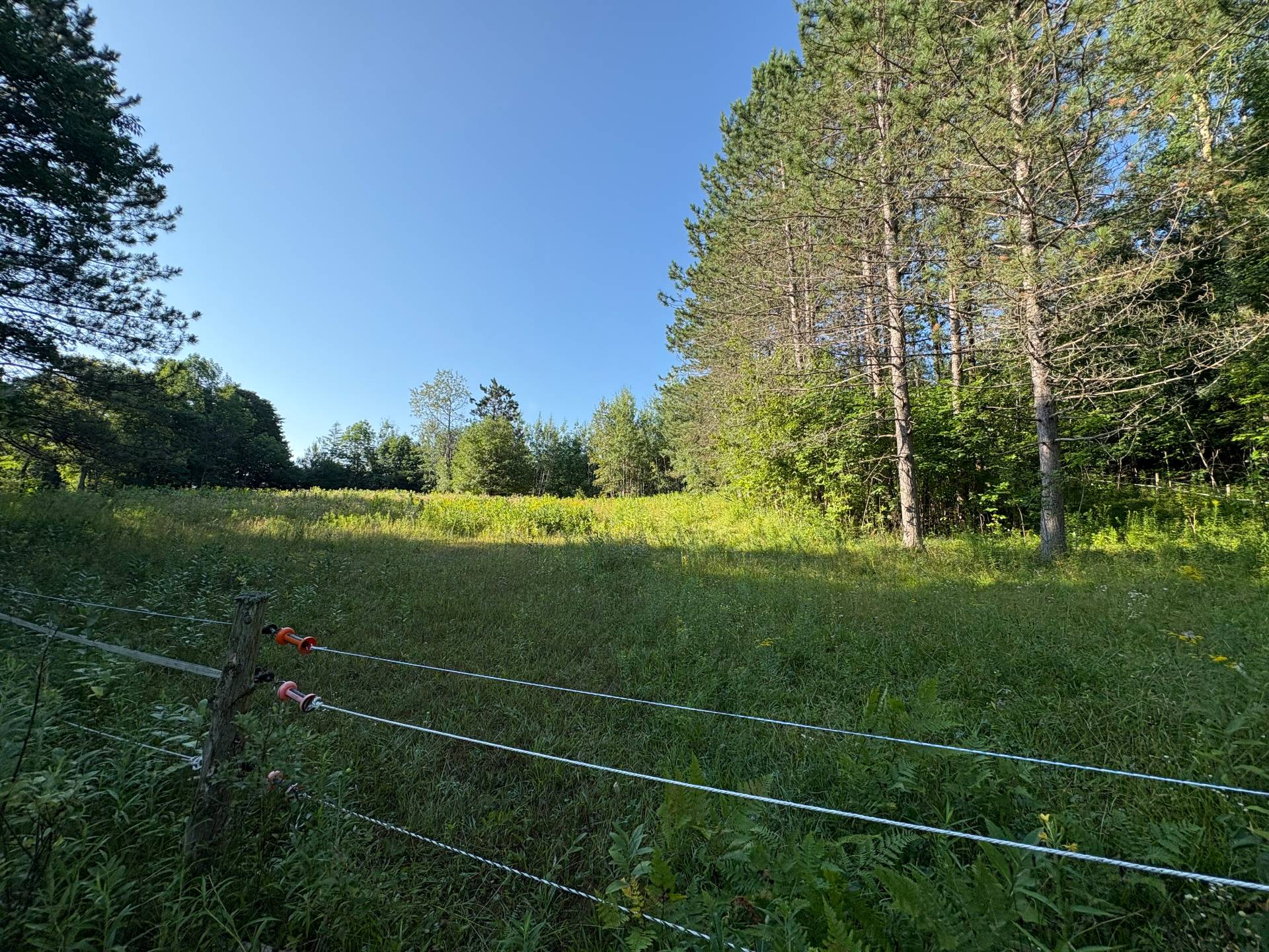 MLS: 17519794