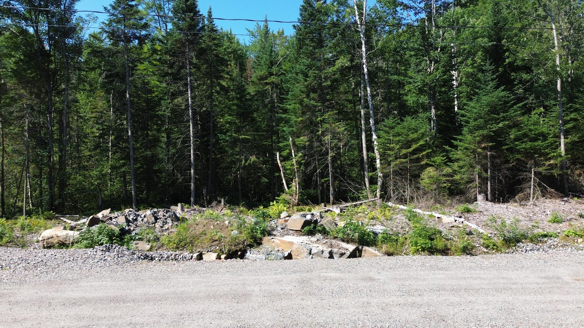 MLS: 28436687