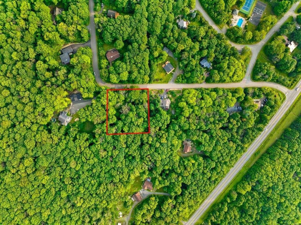 MLS: 21003385