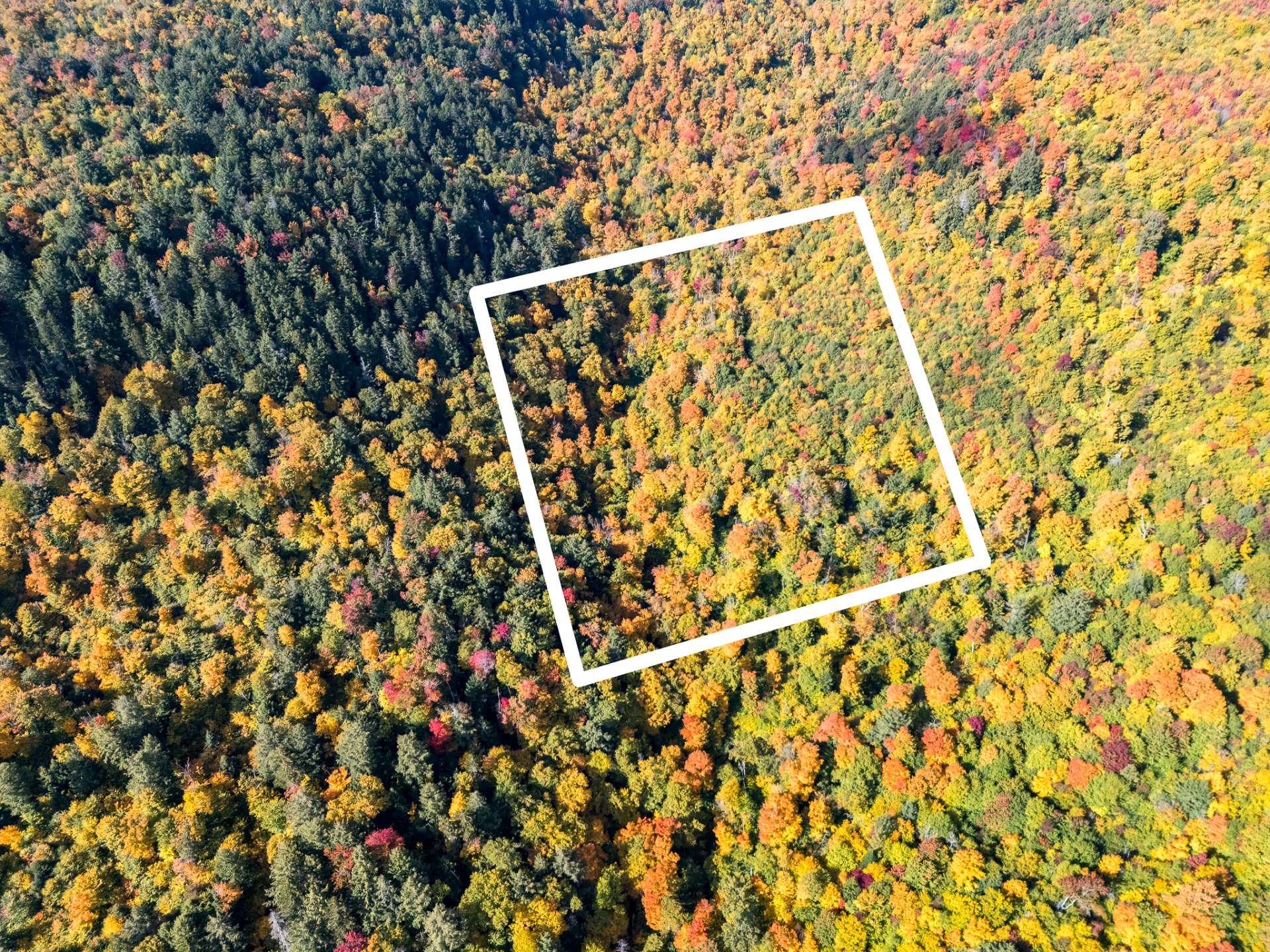 MLS: 28786952