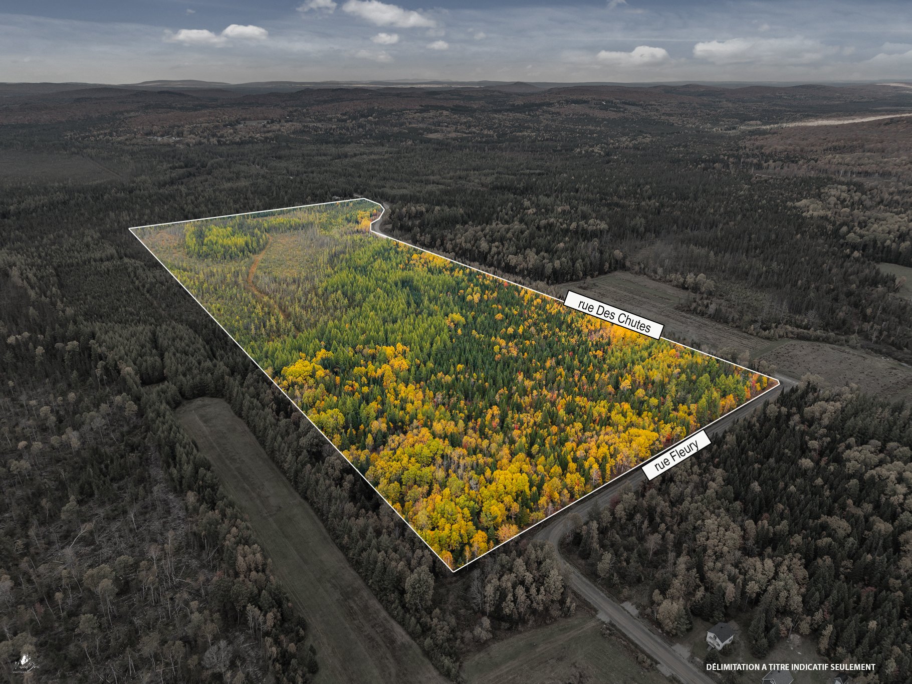 MLS: 13958844
