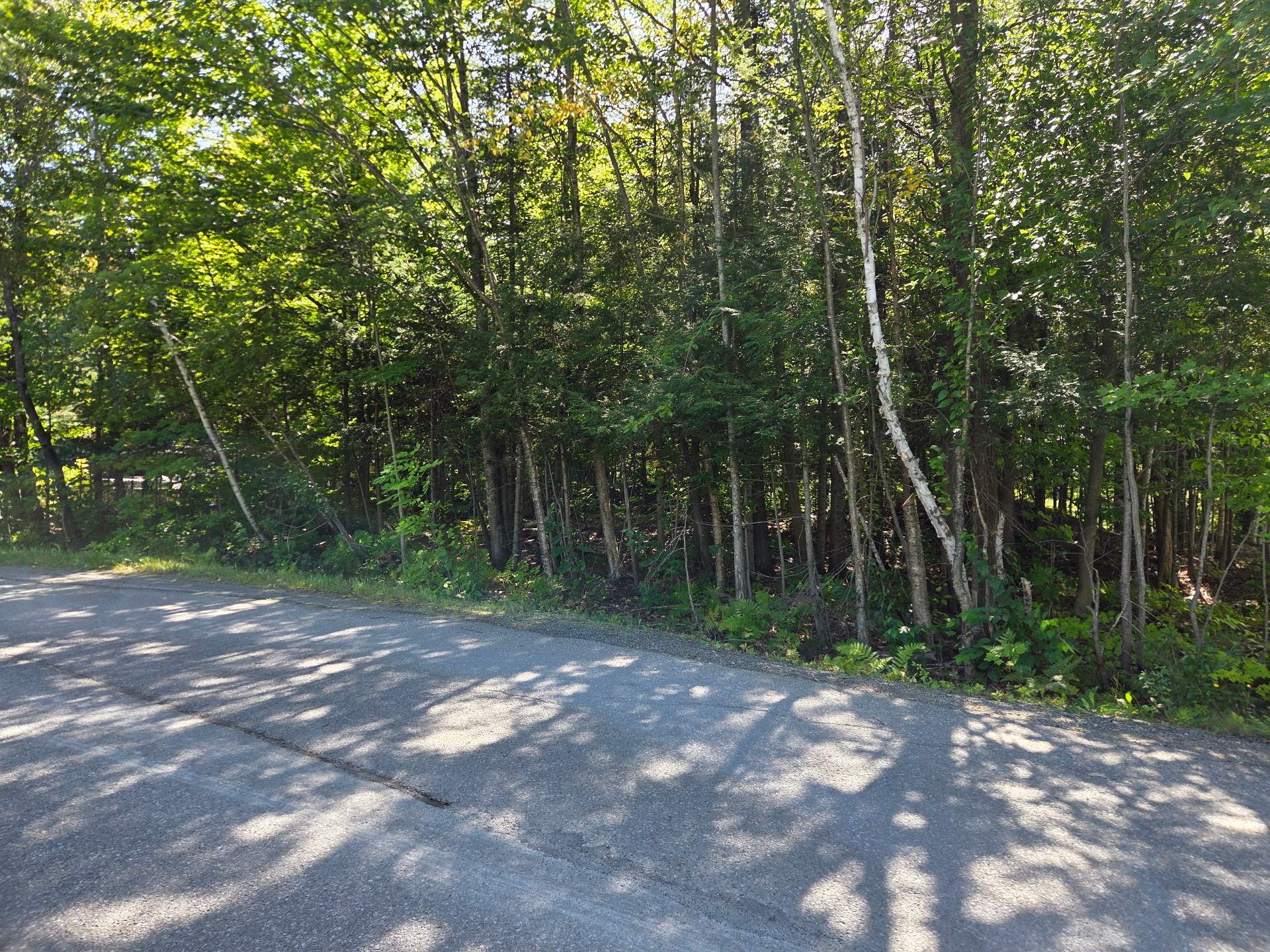 MLS: 24724472