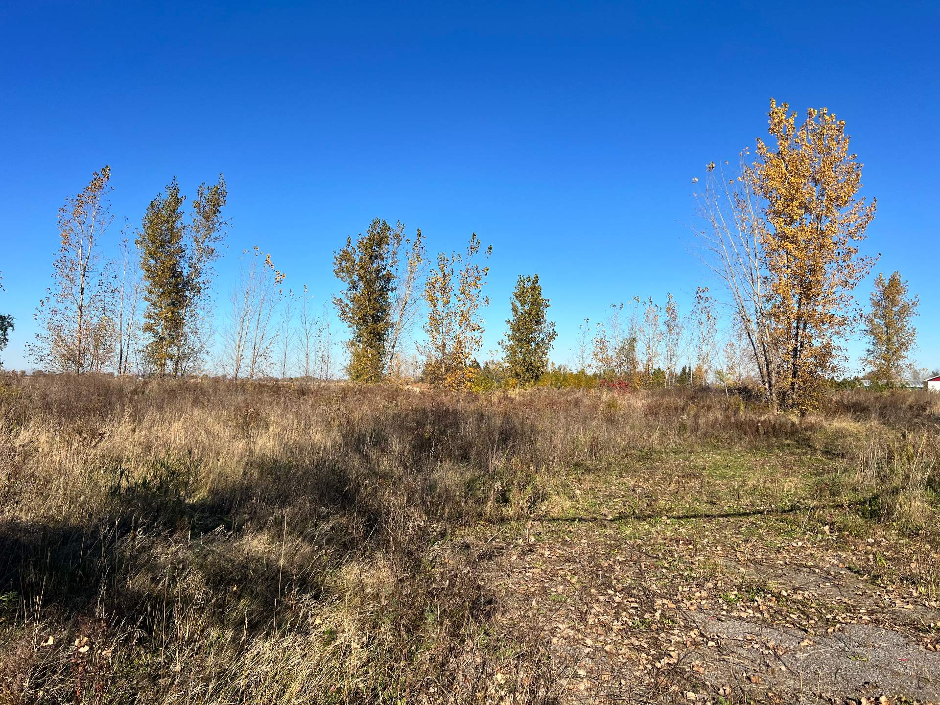 MLS: 21823556