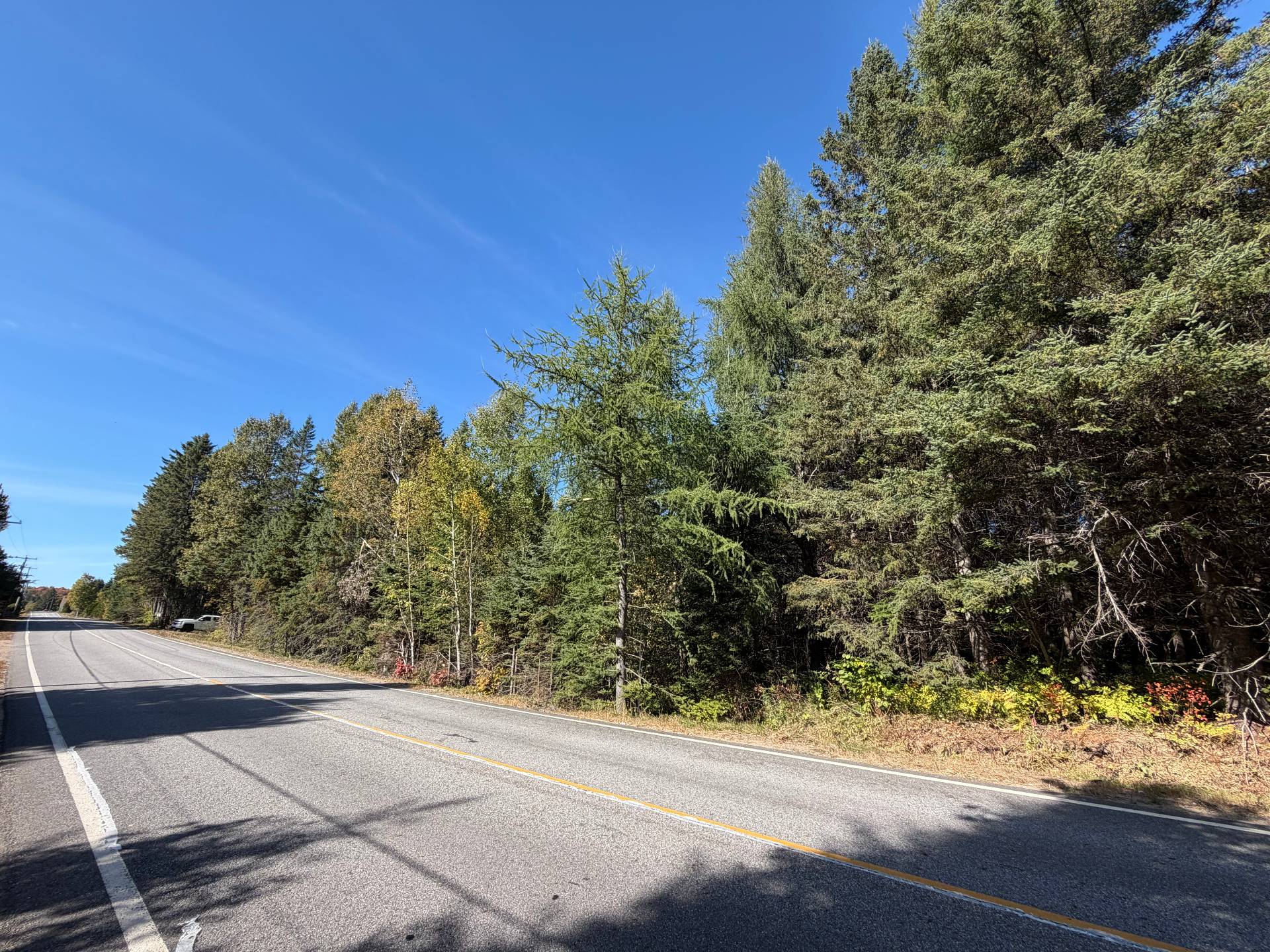 MLS: 11726386