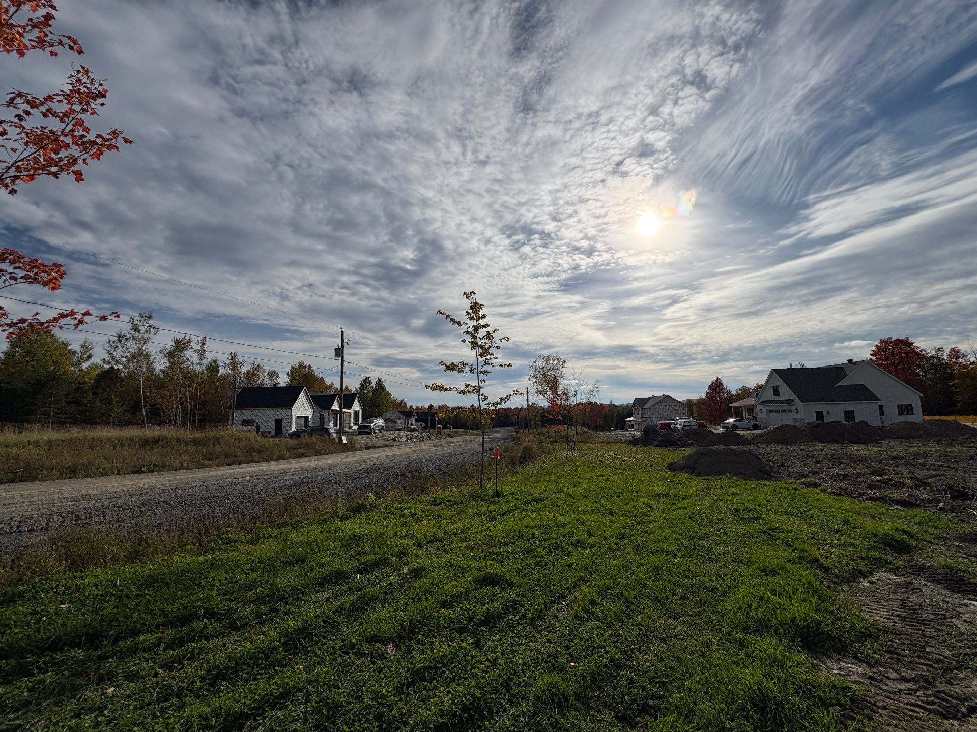 MLS: 16460259