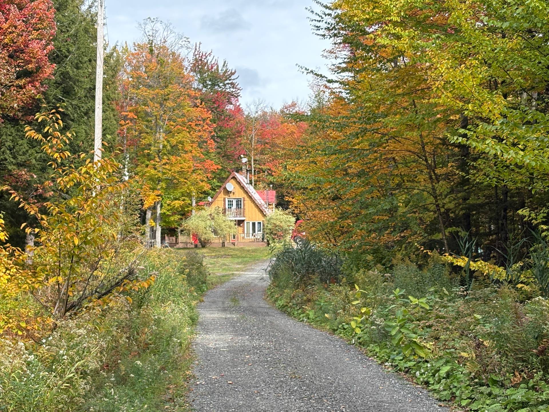 MLS: 17348732