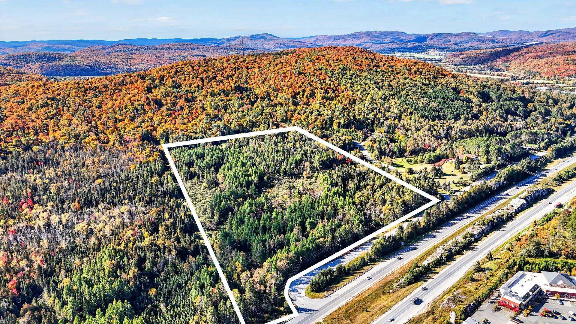 MLS: 24190619