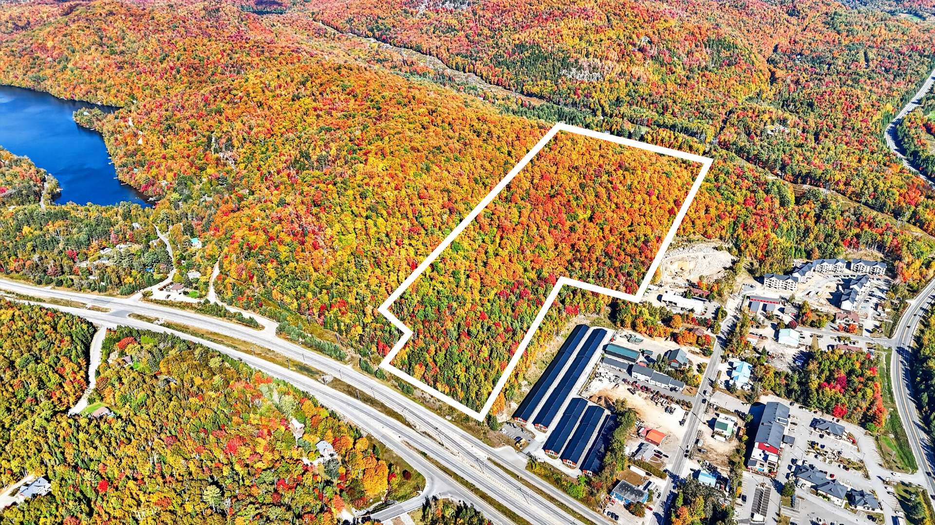 MLS: 15348331