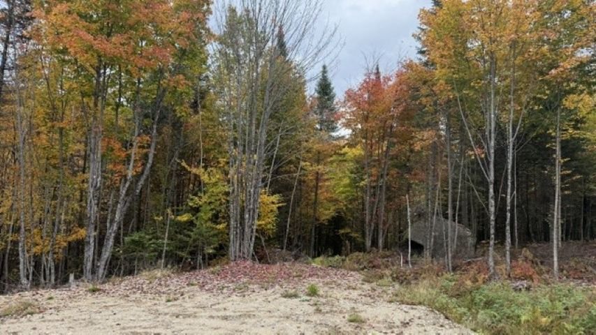 MLS: 12609552