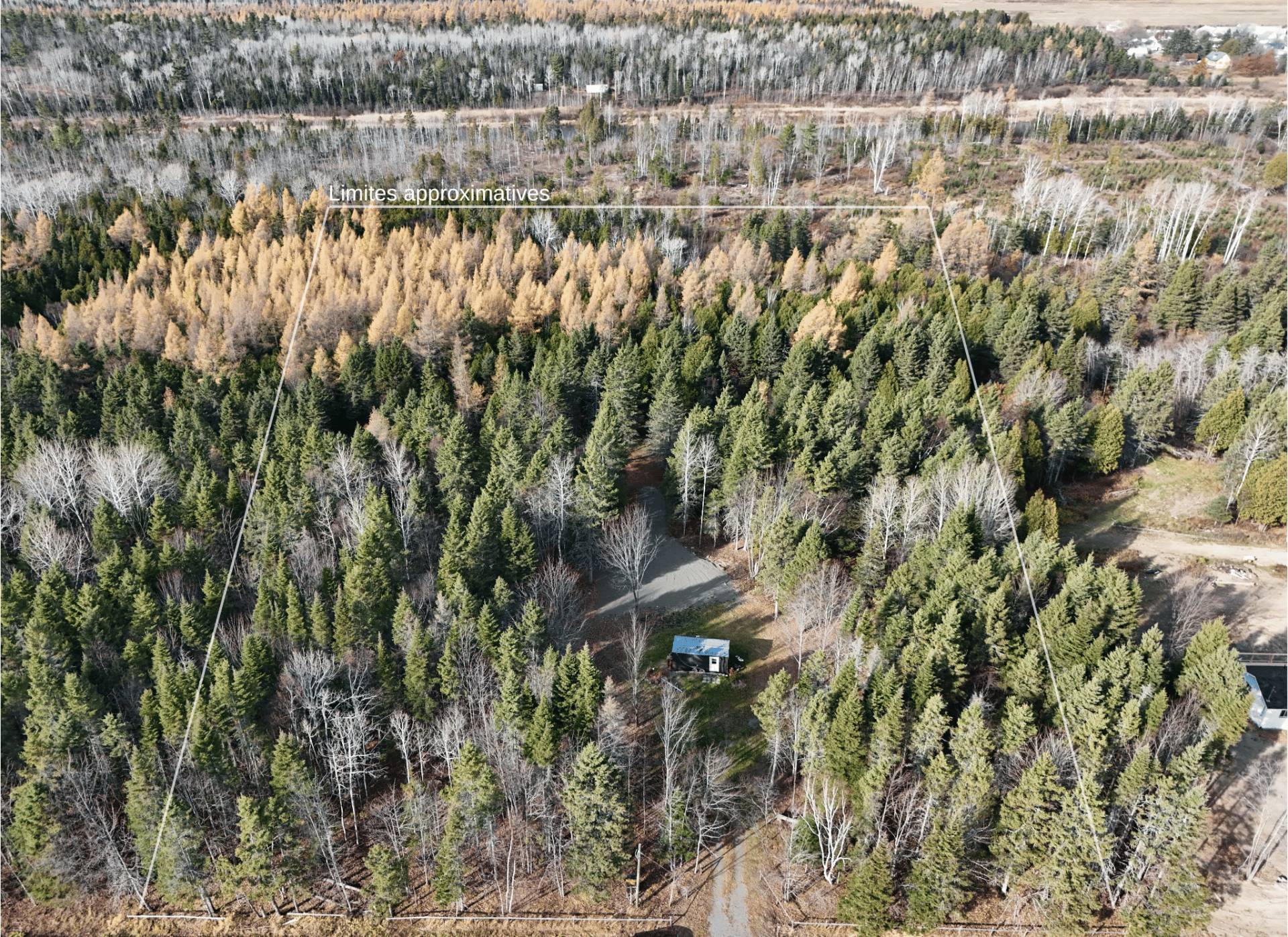 MLS: 13694051