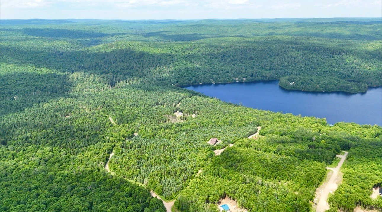 MLS: 13358371