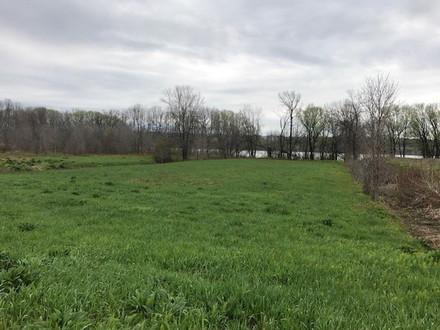 MLS: 24188226