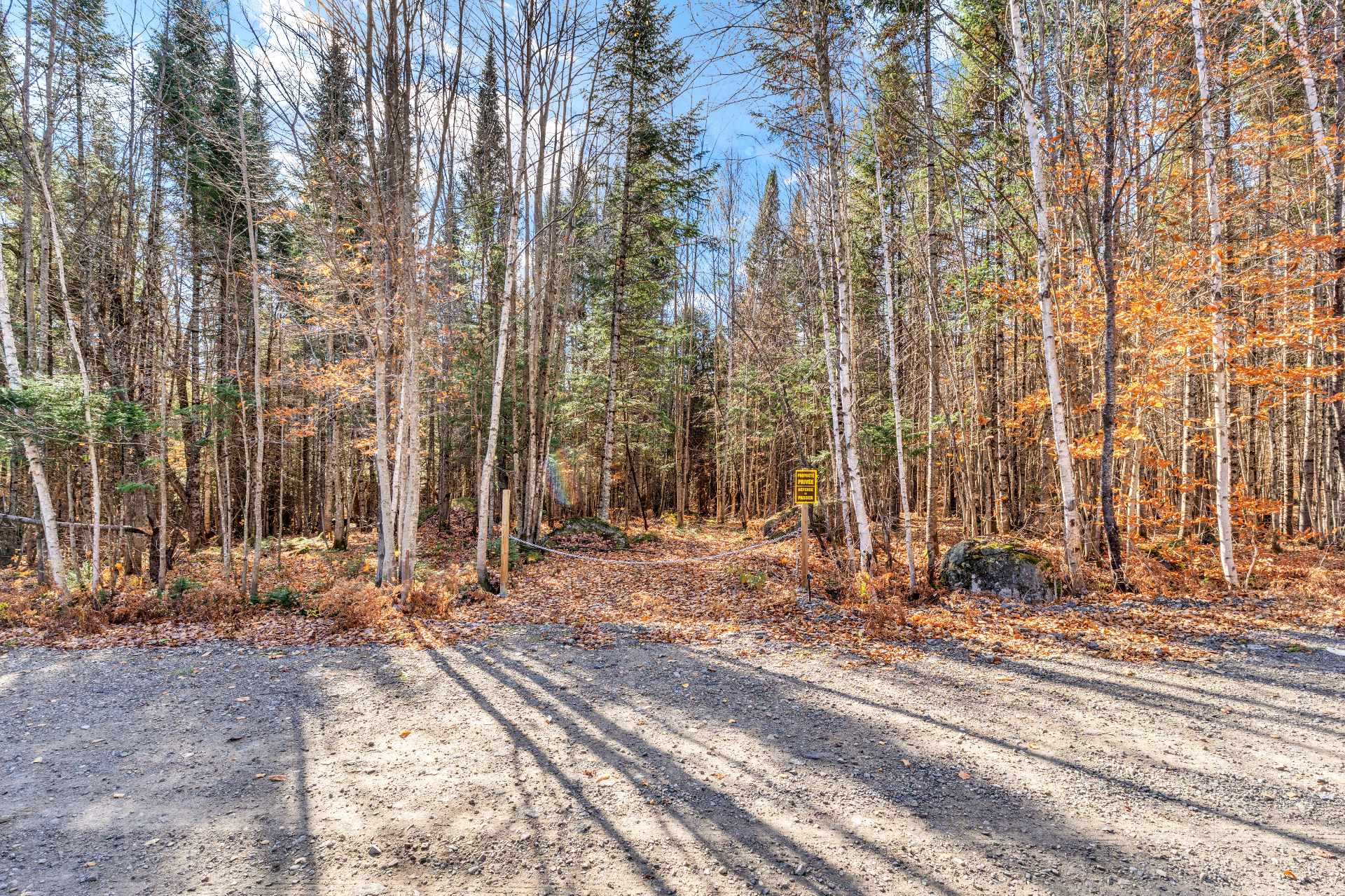 MLS: 10536091