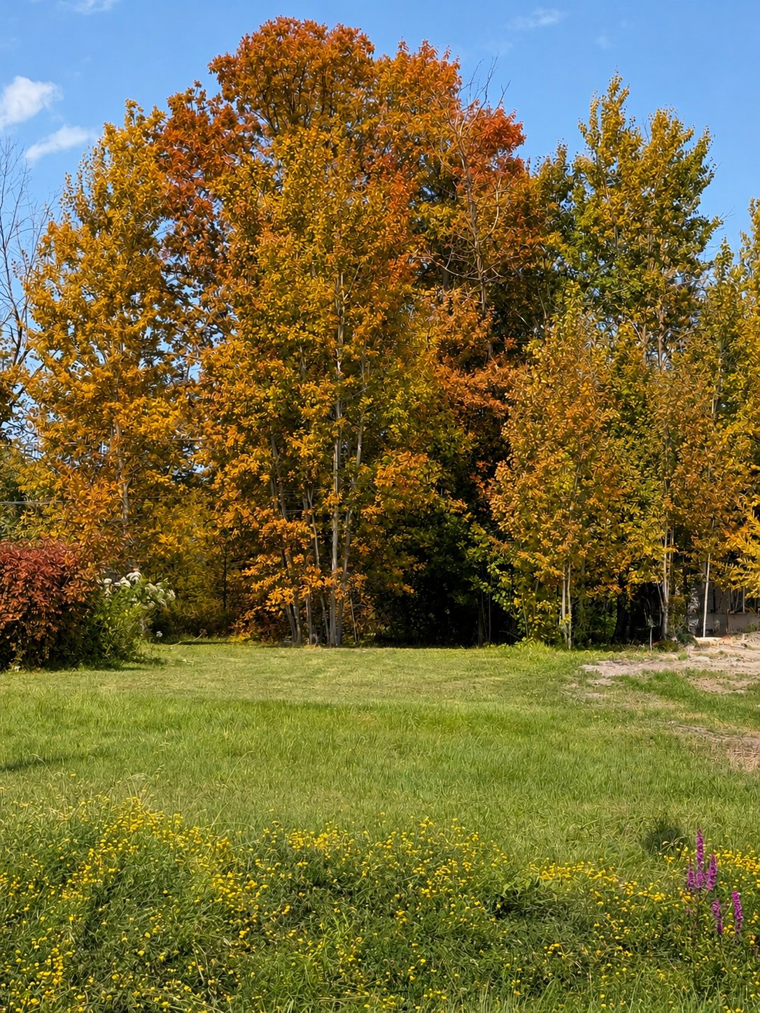 MLS: 14047405