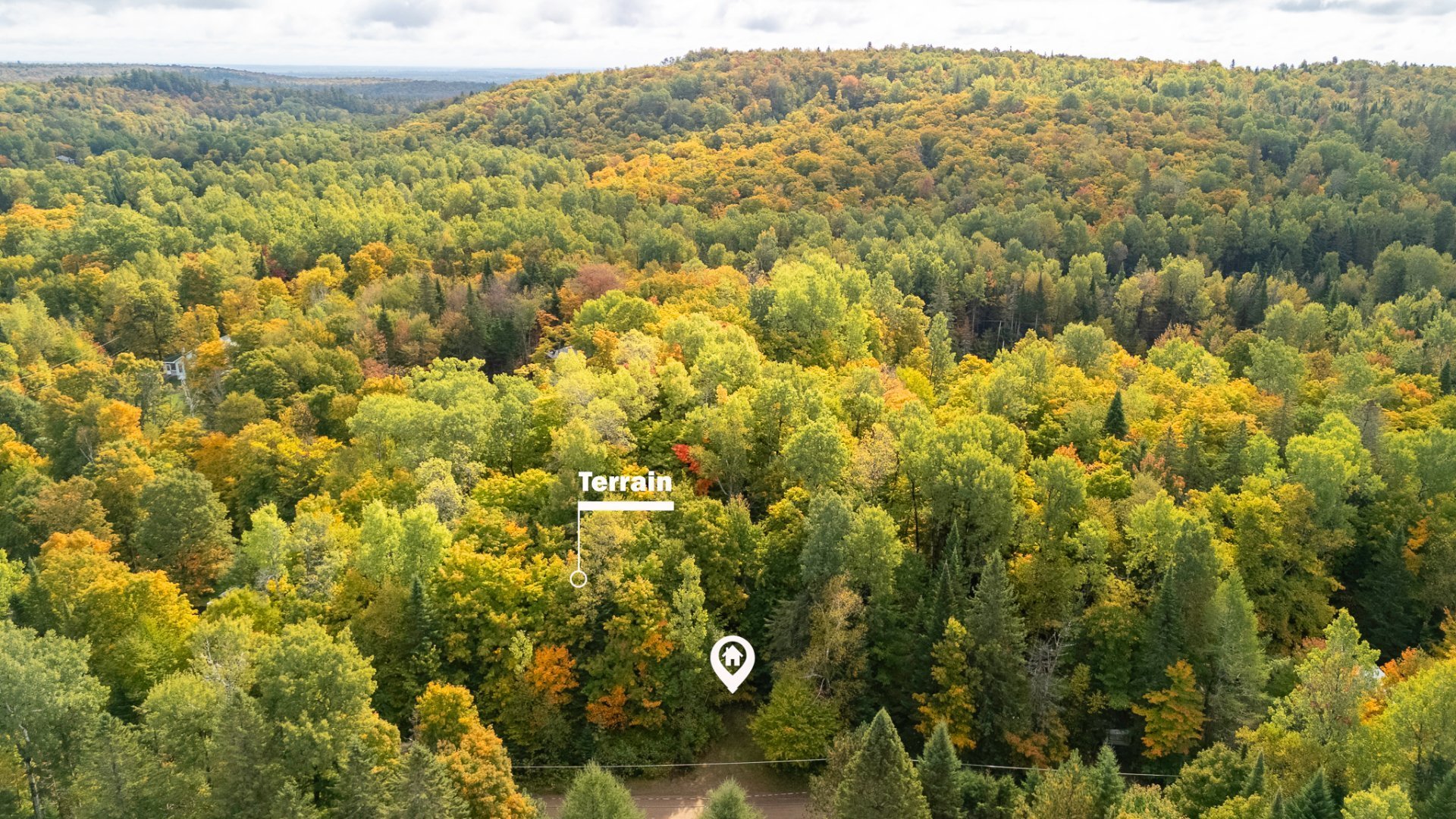 MLS: 14151766