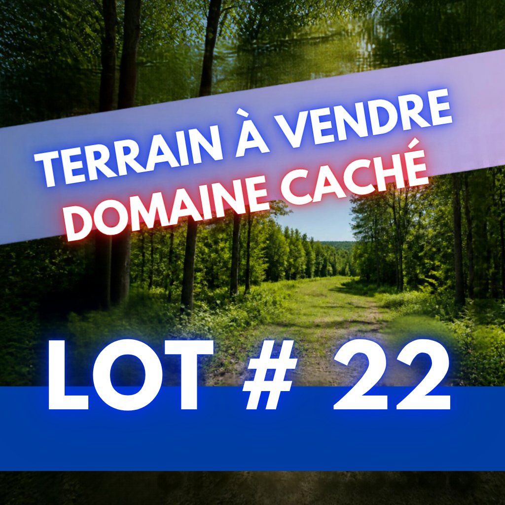 MLS: 13372032
