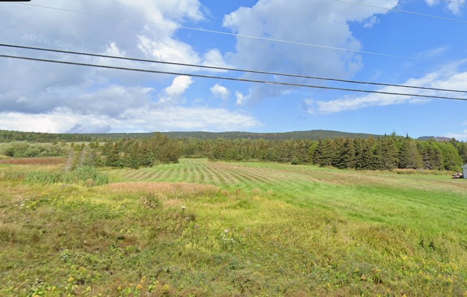 MLS: 15366021