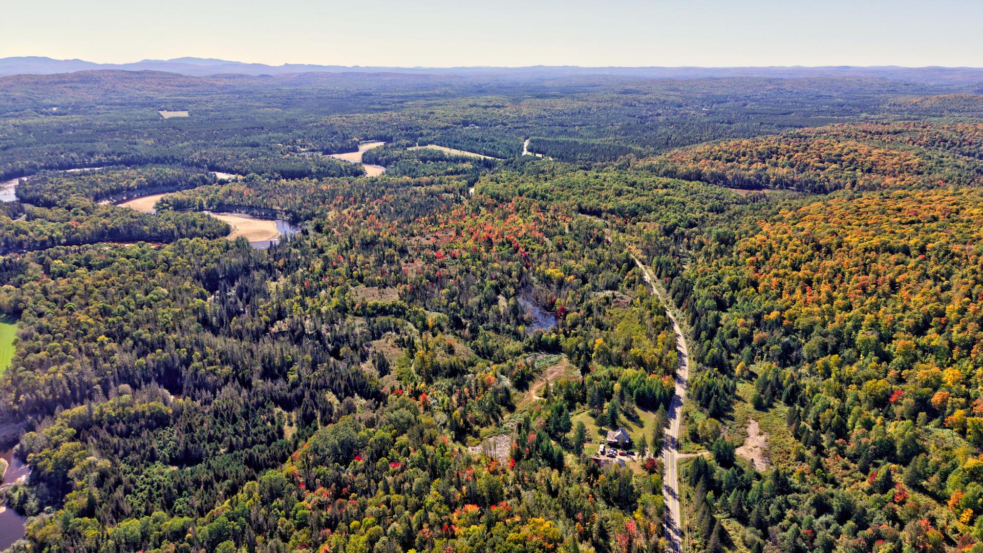 MLS: 15950498