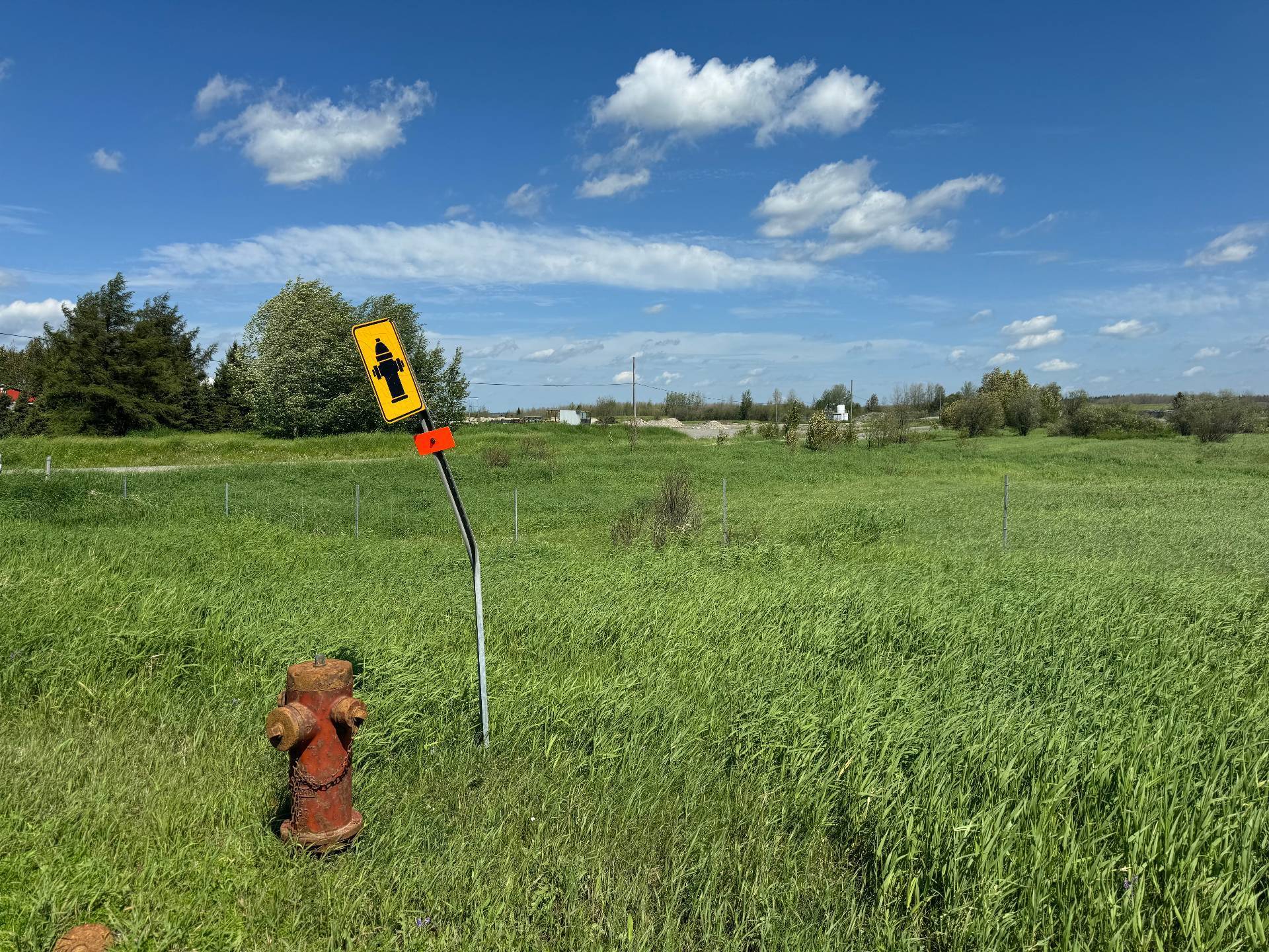 MLS: 13641462