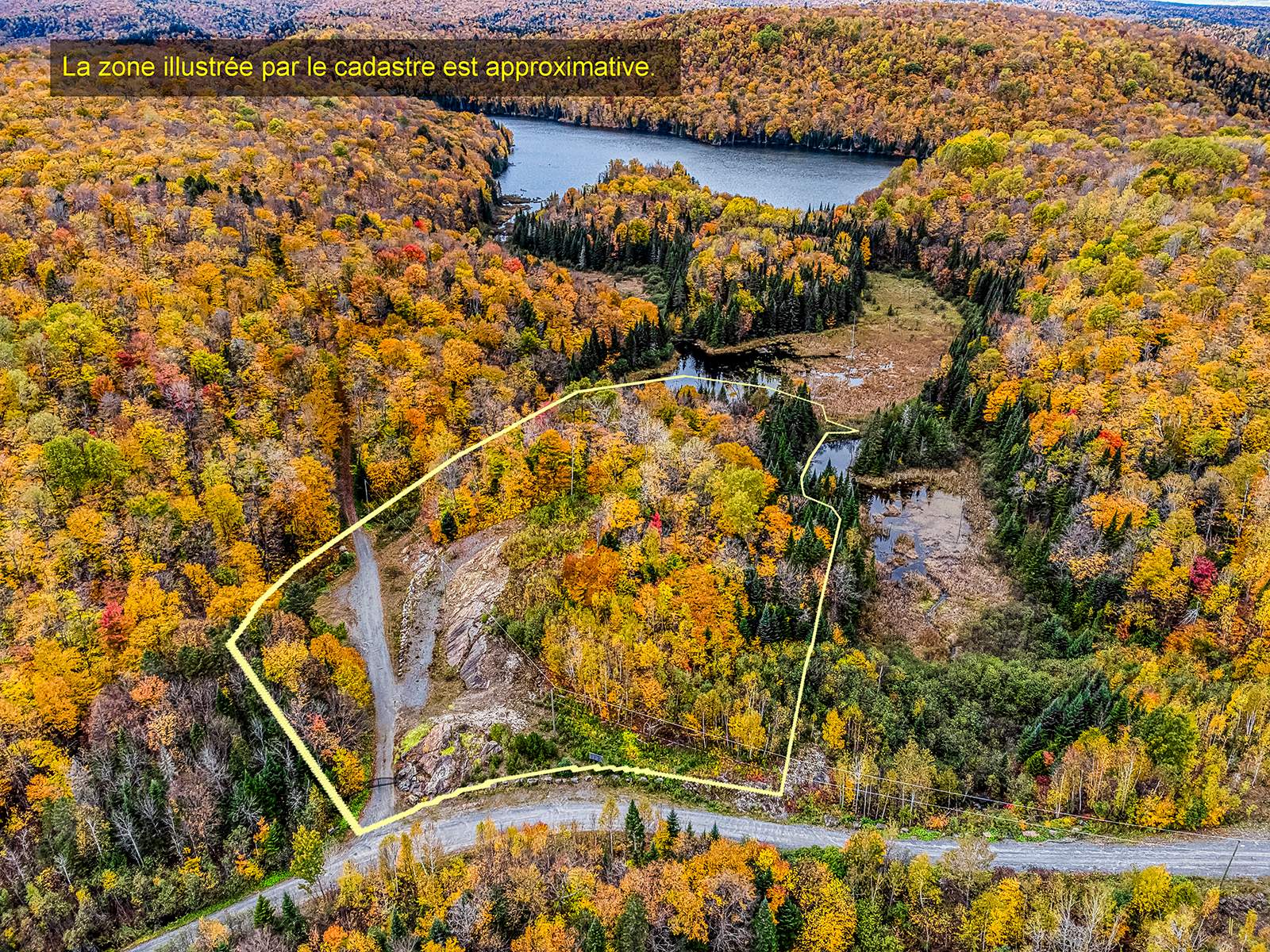 MLS: 12456537