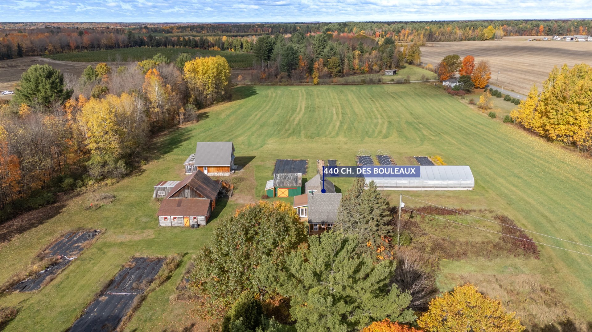 MLS: 12900463