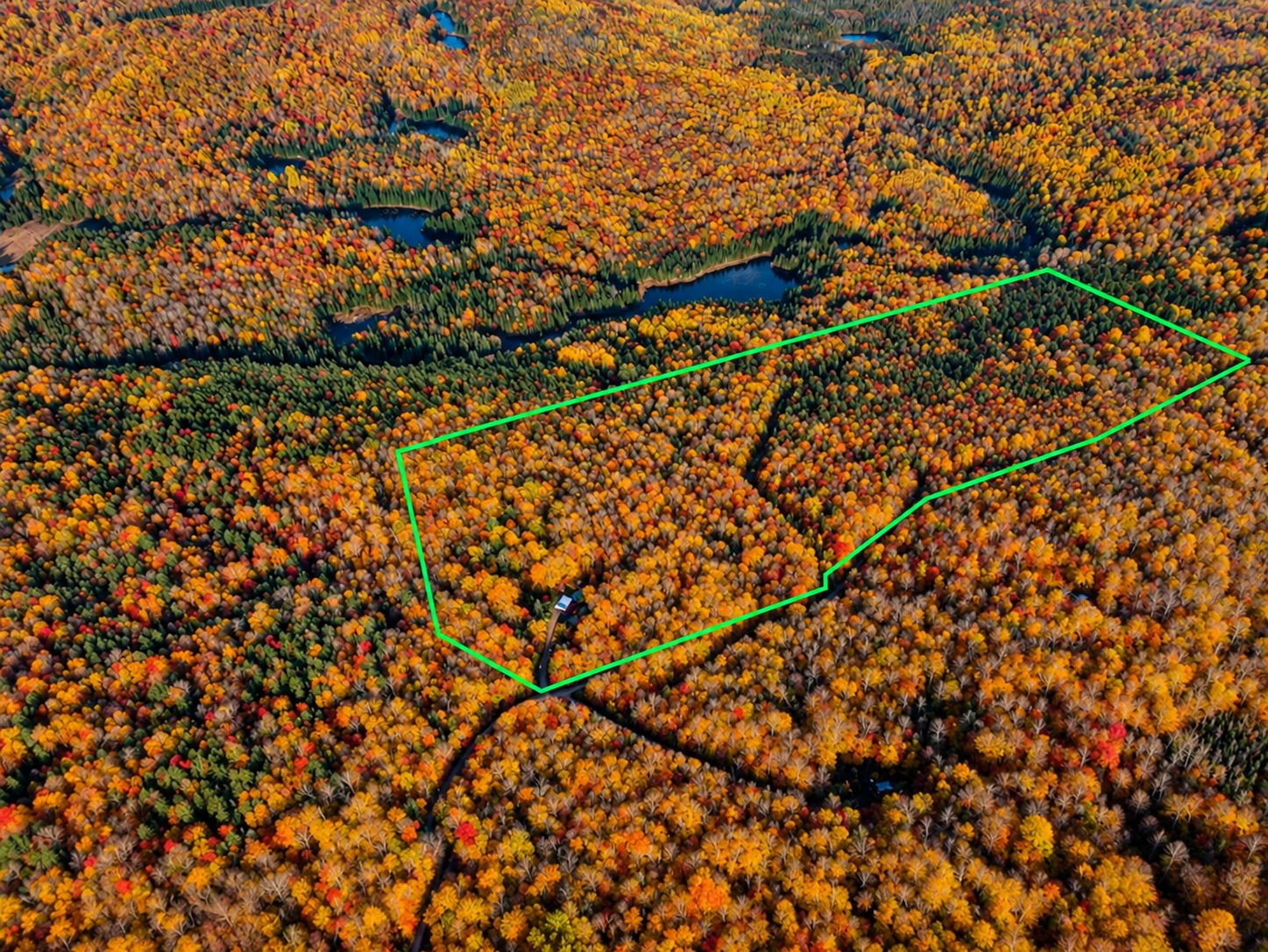 MLS: 14263812