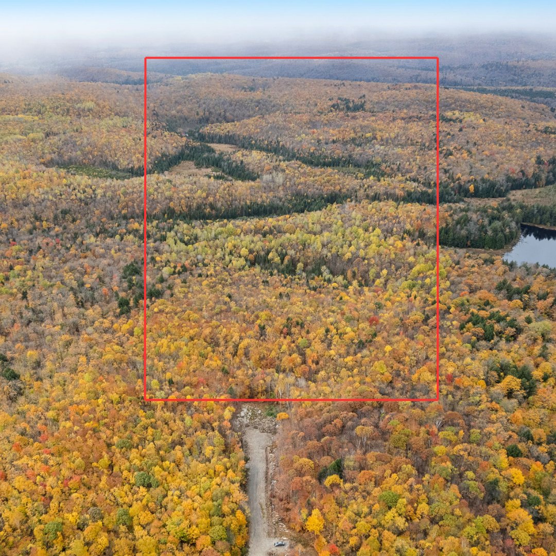 MLS: 16275360