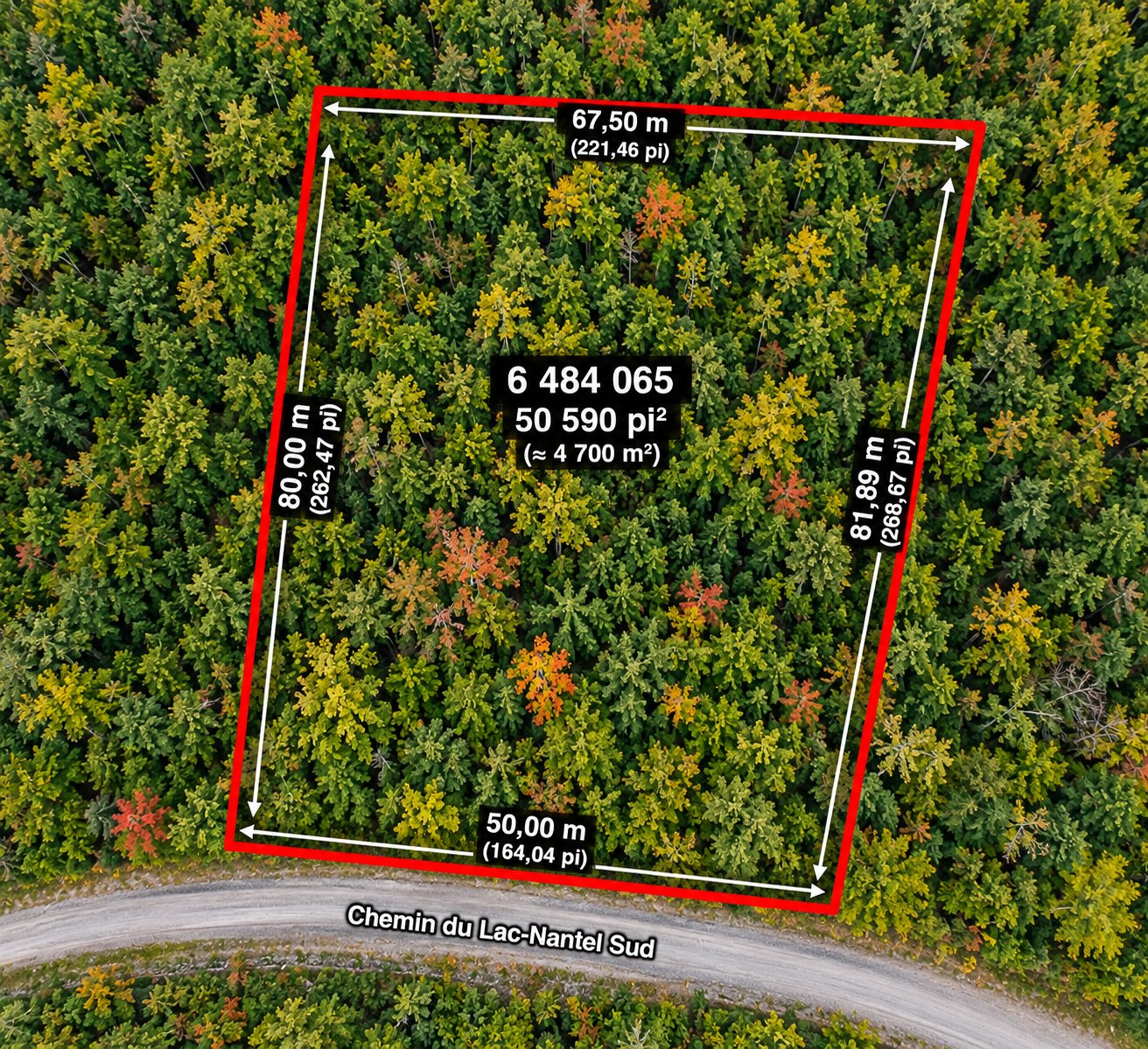 MLS: 14730492
