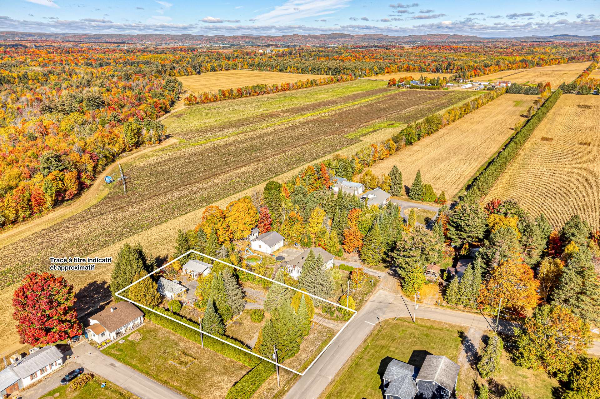 MLS: 14223455