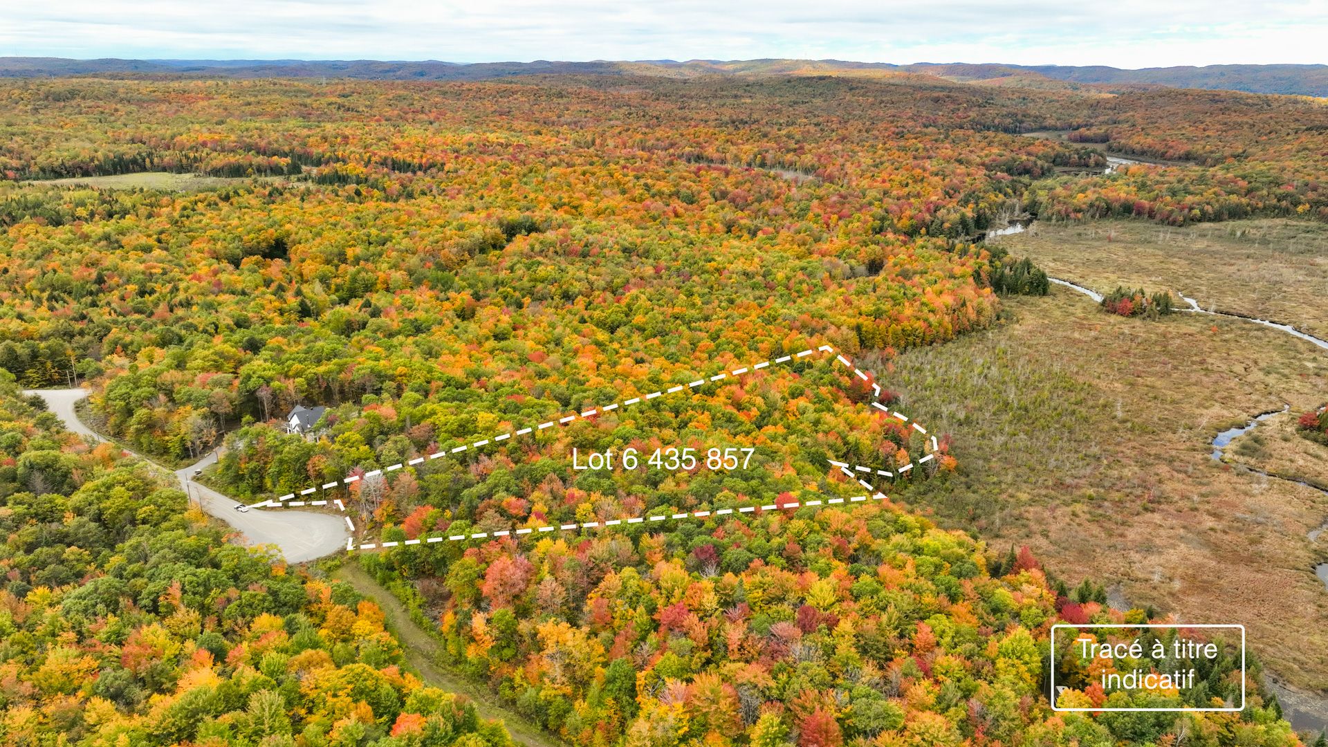 MLS: 16533689