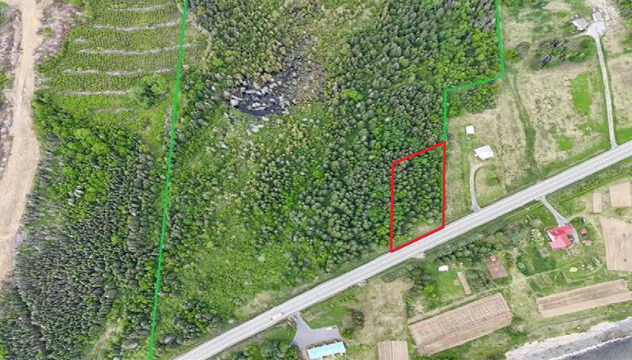 MLS: 11878482