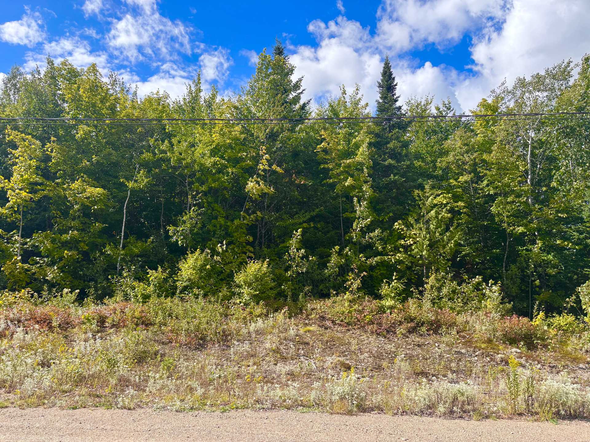 MLS: 14194728