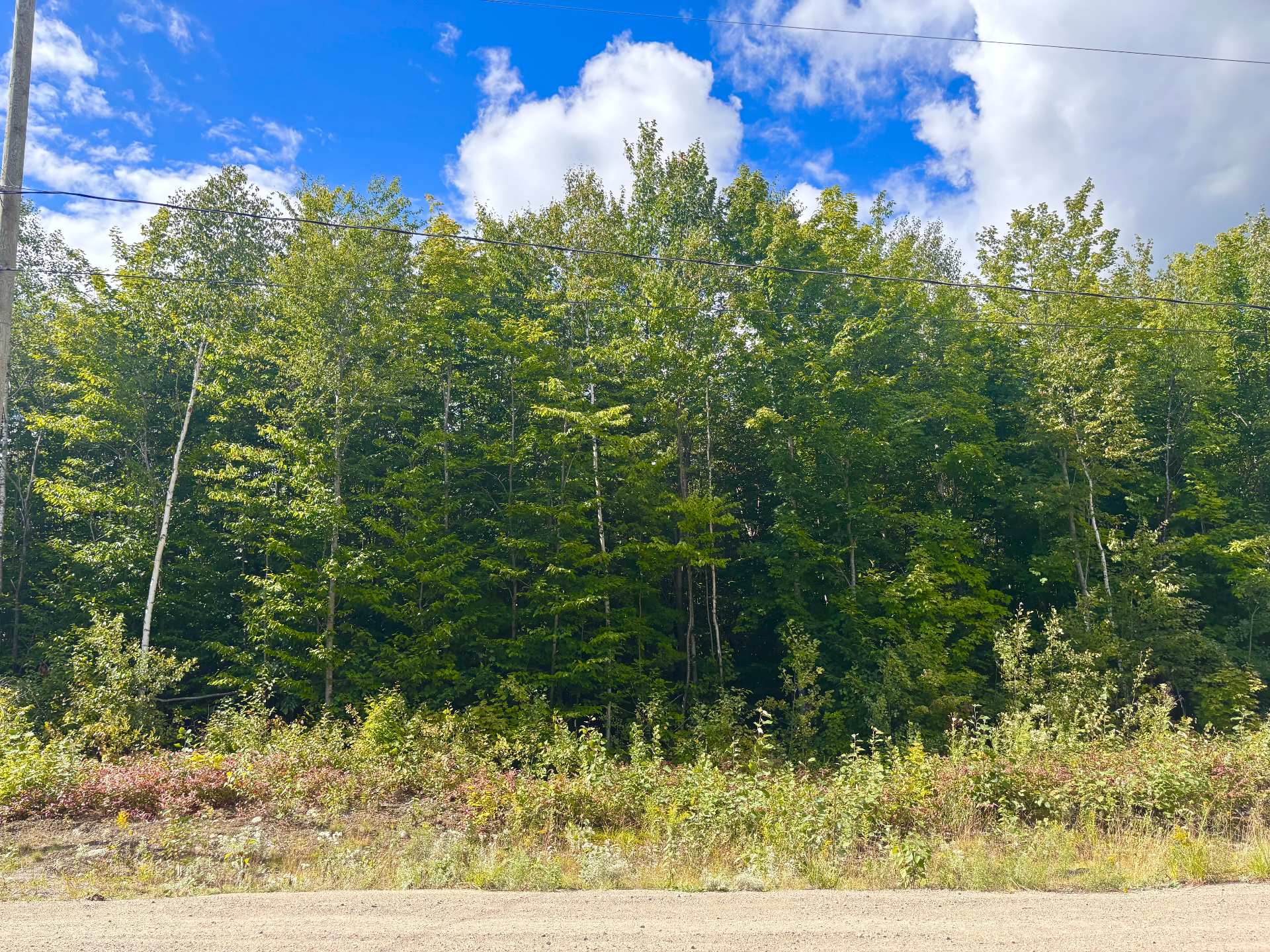 MLS: 23788506