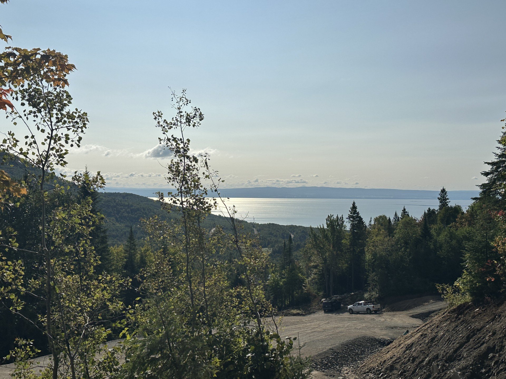MLS: 23109005