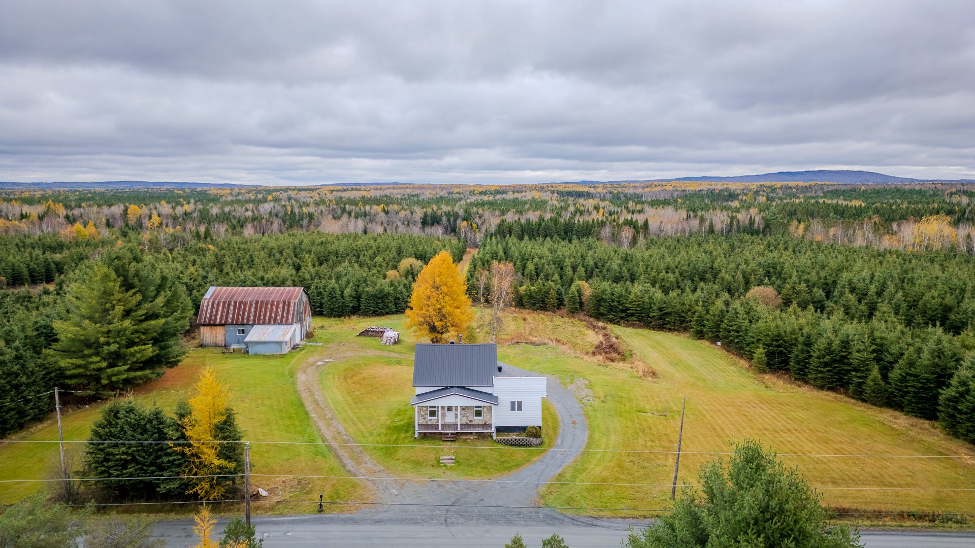 MLS: 13096573