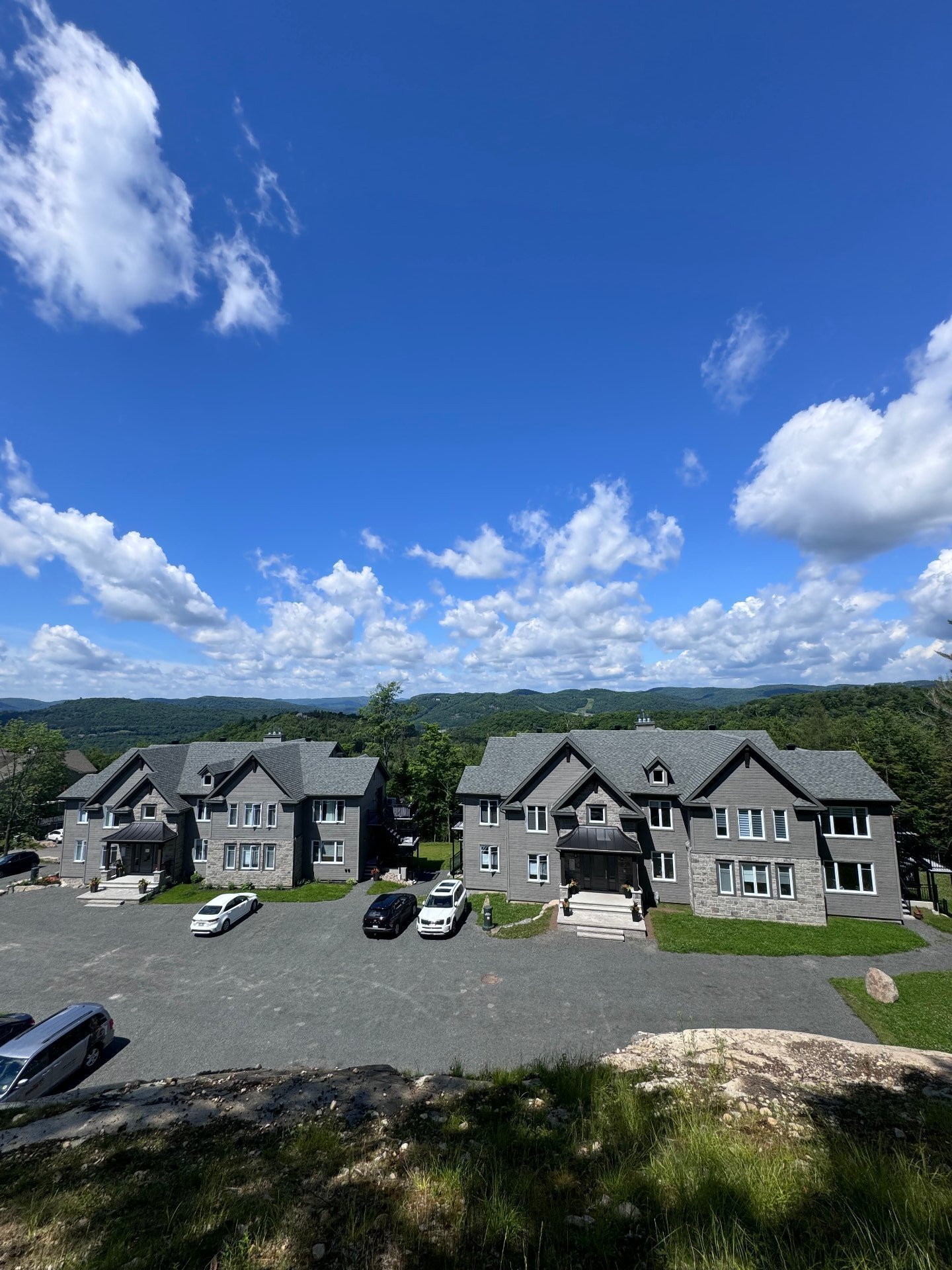 MLS: 23203436