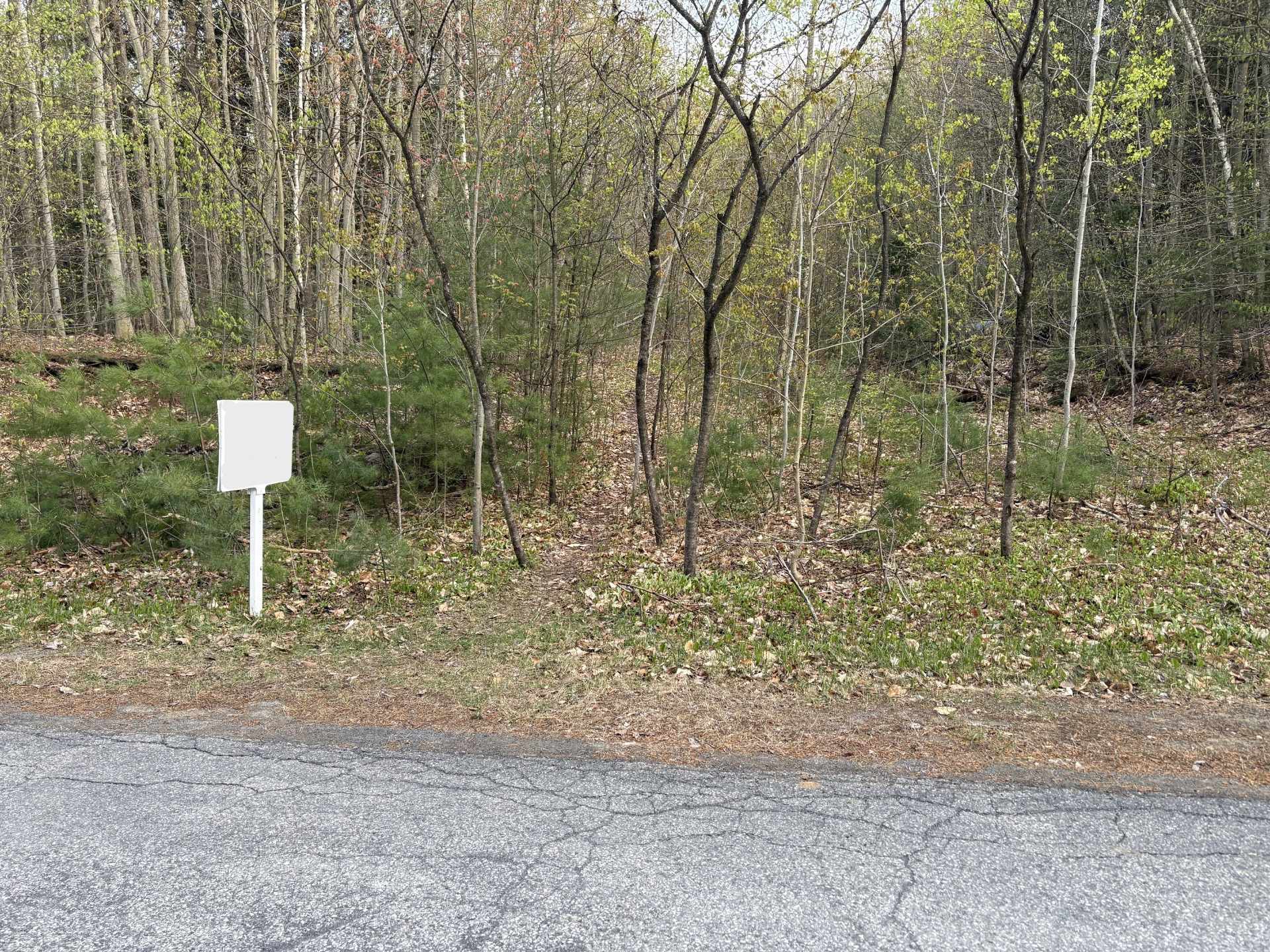 MLS: 14175299