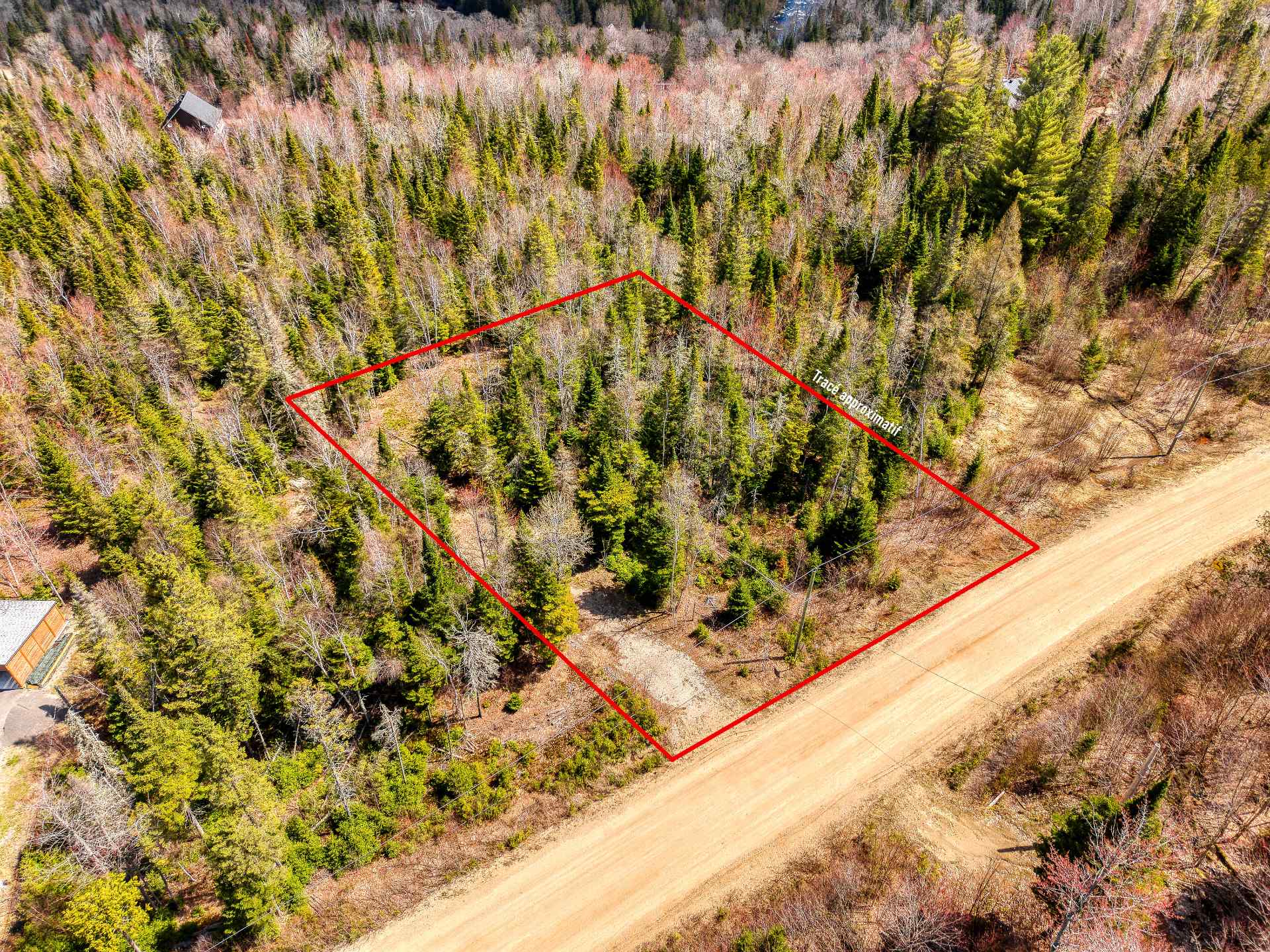 MLS: 26889142