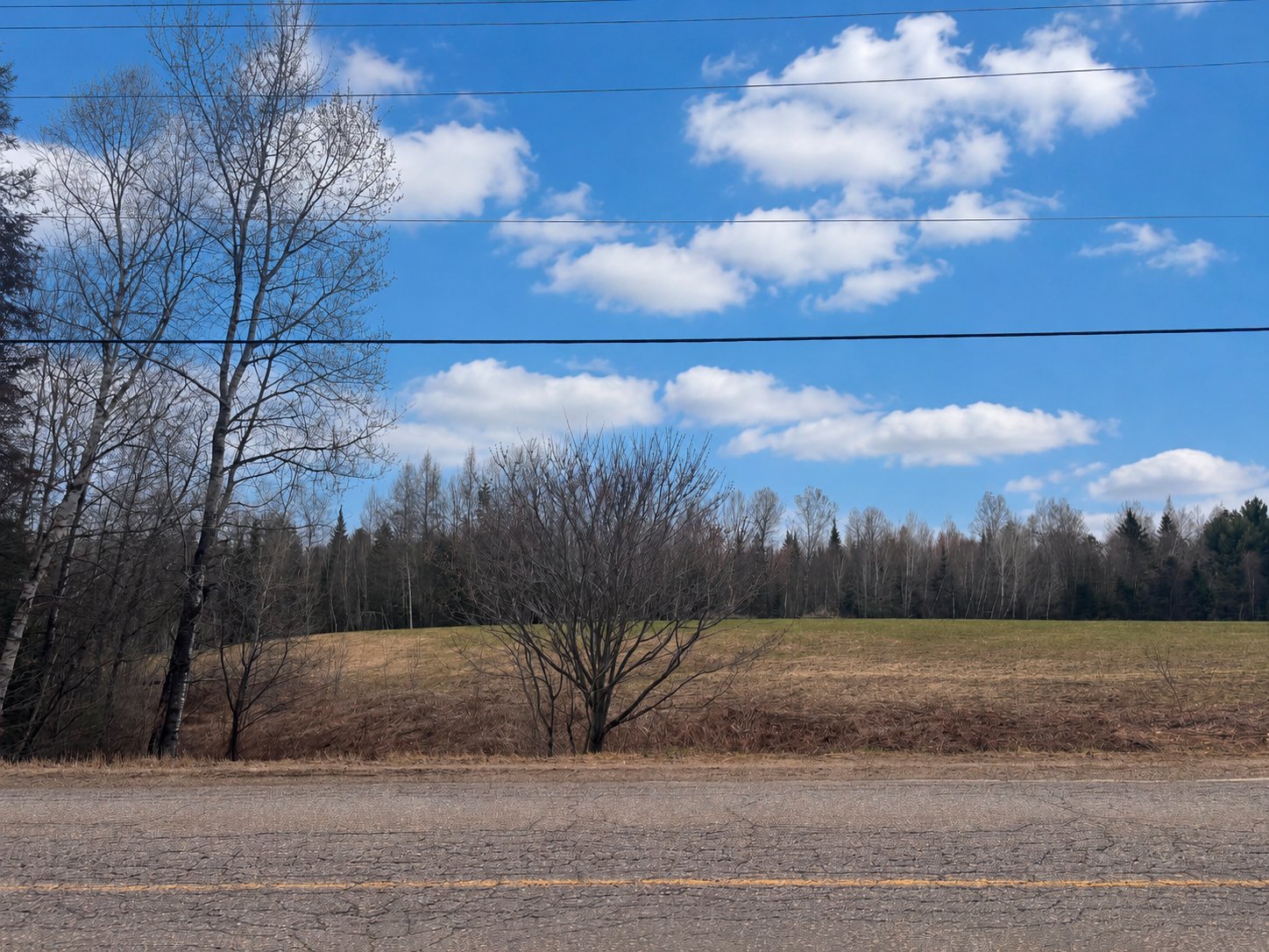 MLS: 17469670
